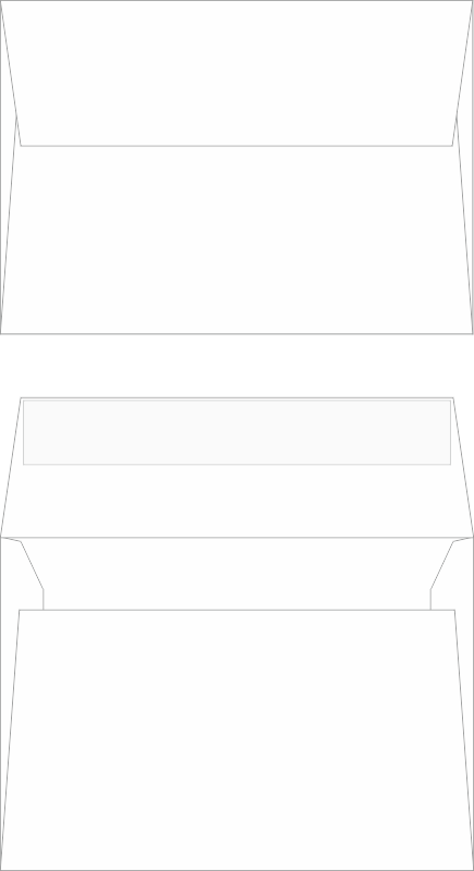 C6 - bílá